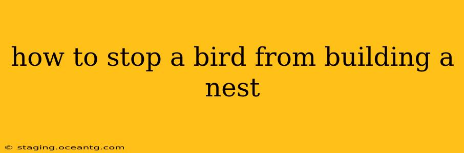 how to stop a bird from building a nest