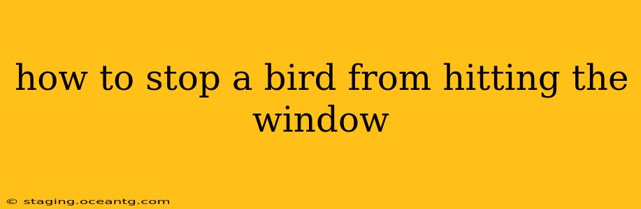 how to stop a bird from hitting the window