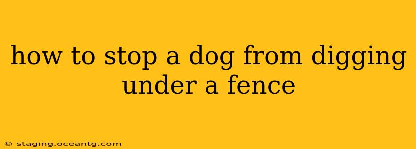 how to stop a dog from digging under a fence