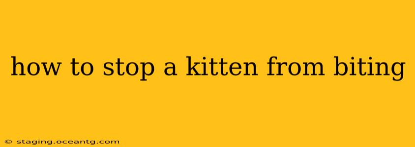how to stop a kitten from biting