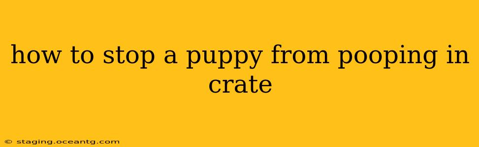 how to stop a puppy from pooping in crate