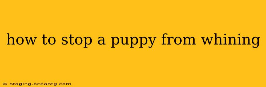 how to stop a puppy from whining