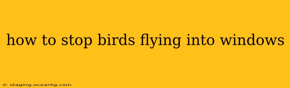 how to stop birds flying into windows