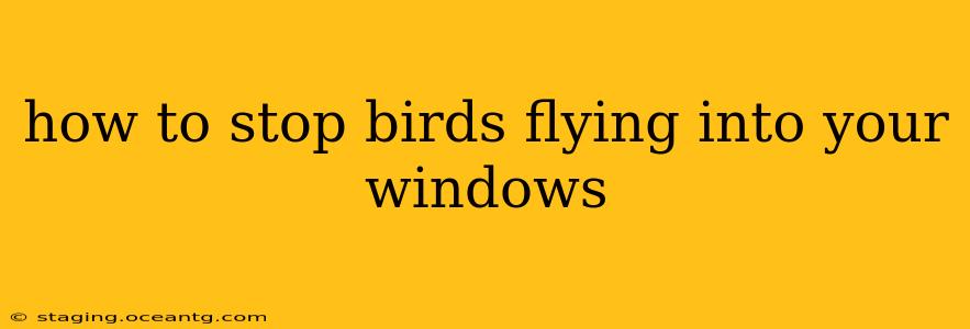 how to stop birds flying into your windows