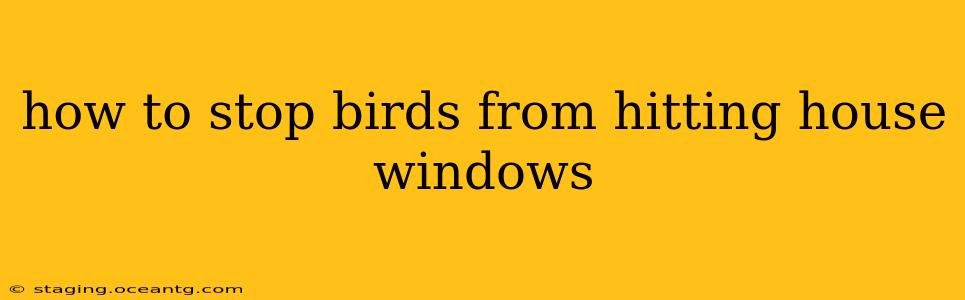 how to stop birds from hitting house windows