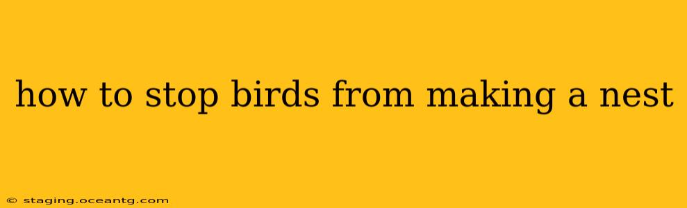 how to stop birds from making a nest