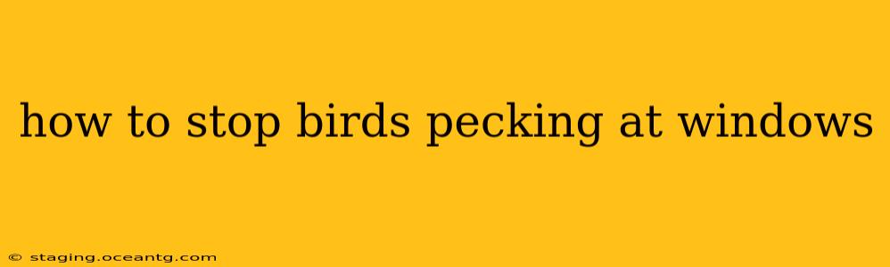 how to stop birds pecking at windows