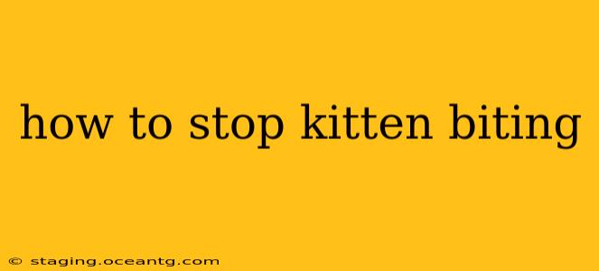 how to stop kitten biting