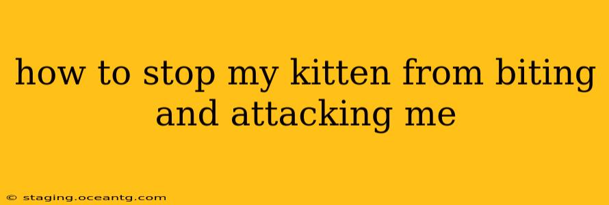 how to stop my kitten from biting and attacking me