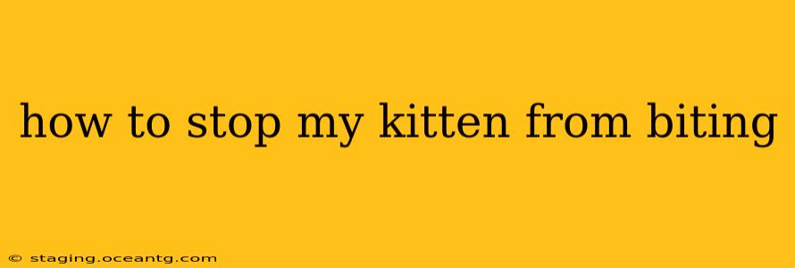 how to stop my kitten from biting
