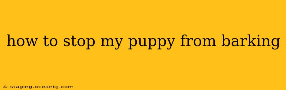 how to stop my puppy from barking