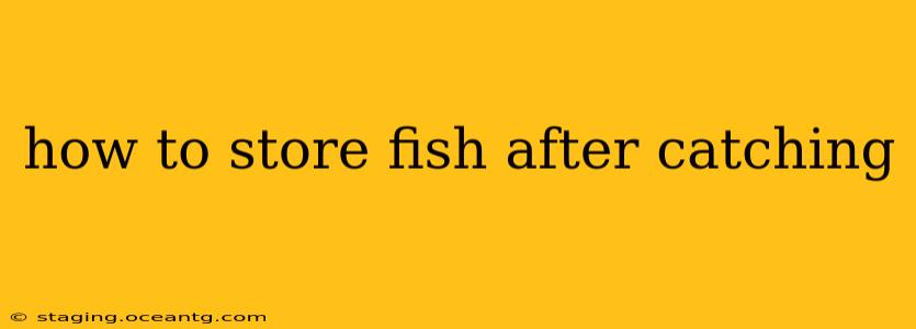 how to store fish after catching