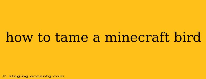 how to tame a minecraft bird