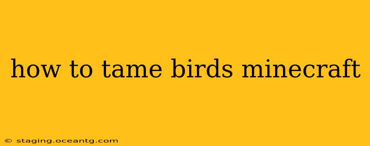 how to tame birds minecraft