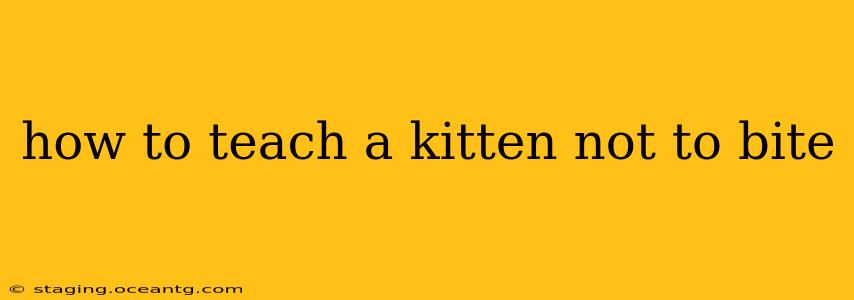 how to teach a kitten not to bite