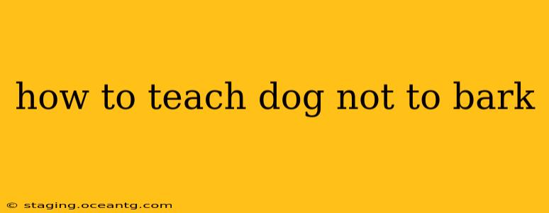 how to teach dog not to bark