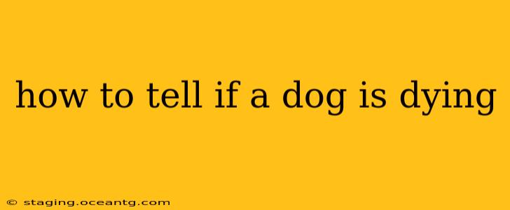 how to tell if a dog is dying
