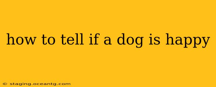 how to tell if a dog is happy