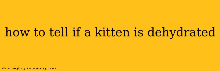 how to tell if a kitten is dehydrated