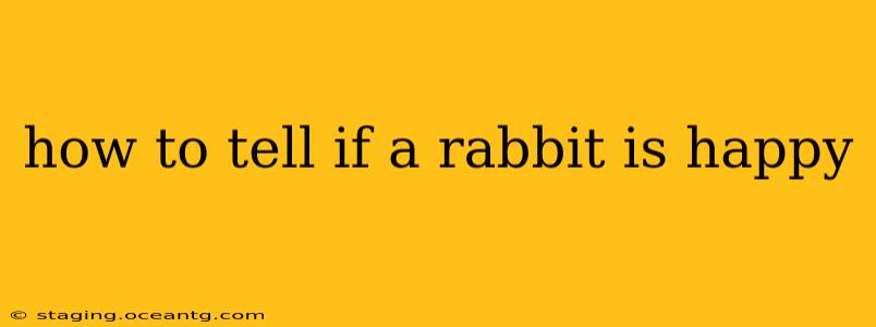 how to tell if a rabbit is happy