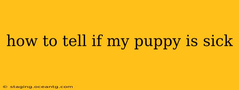 how to tell if my puppy is sick