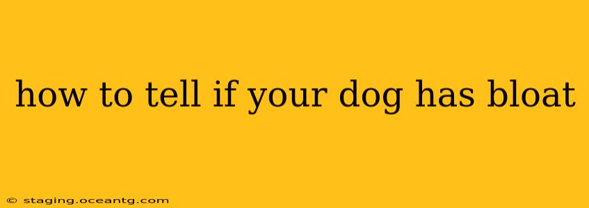 how to tell if your dog has bloat