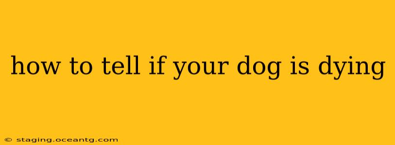 how to tell if your dog is dying