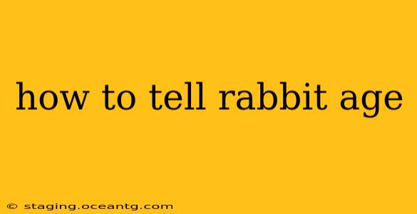 how to tell rabbit age