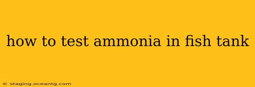 how to test ammonia in fish tank