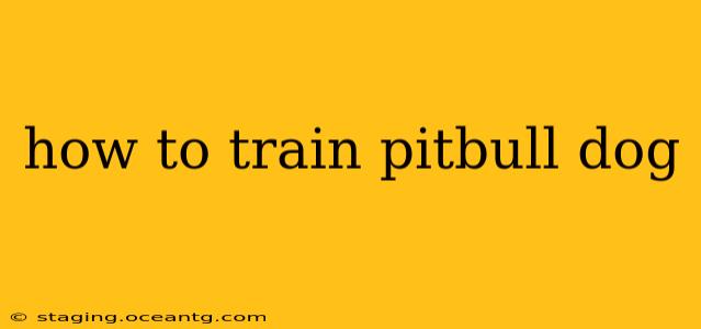 how to train pitbull dog