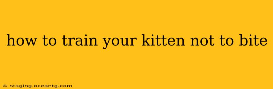 how to train your kitten not to bite