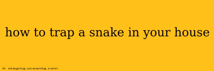how to trap a snake in your house