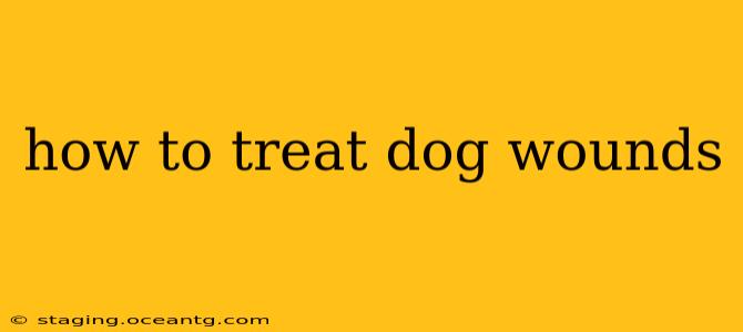 how to treat dog wounds