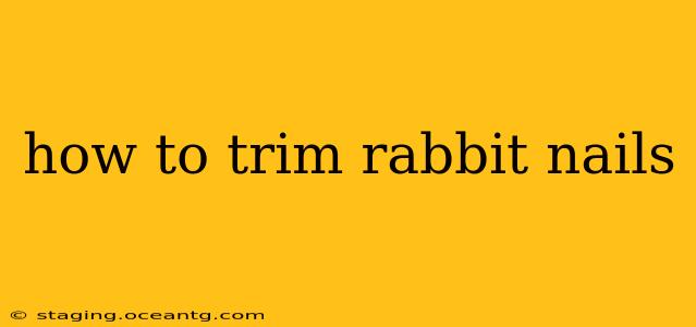 how to trim rabbit nails