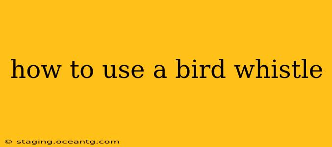 how to use a bird whistle