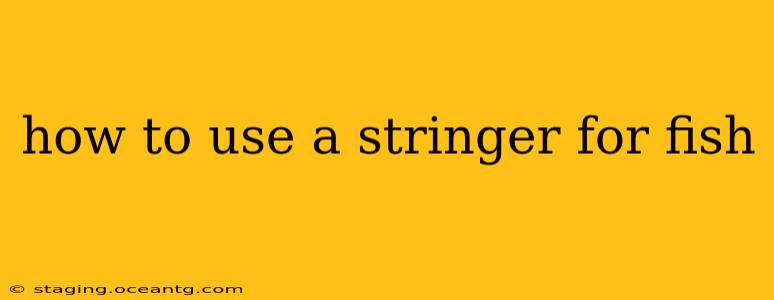 how to use a stringer for fish