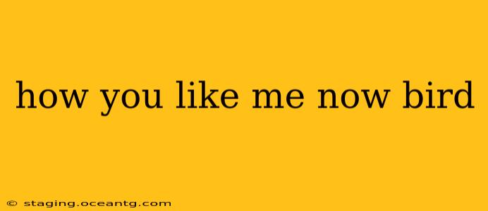 how you like me now bird