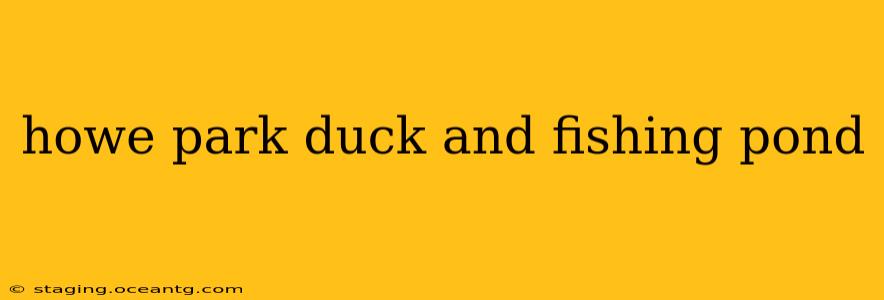 howe park duck and fishing pond