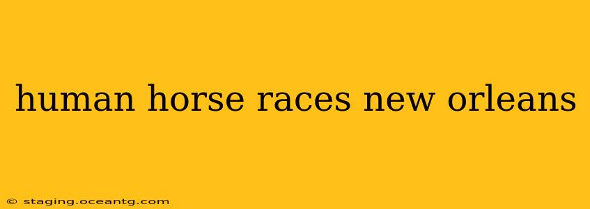 human horse races new orleans