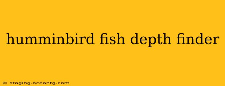 humminbird fish depth finder