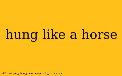 hung like a horse