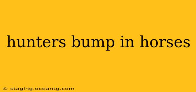 hunters bump in horses