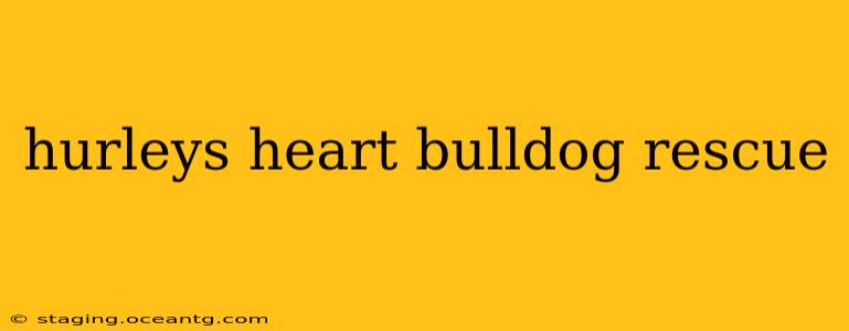 hurleys heart bulldog rescue
