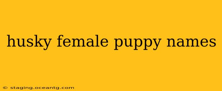 husky female puppy names