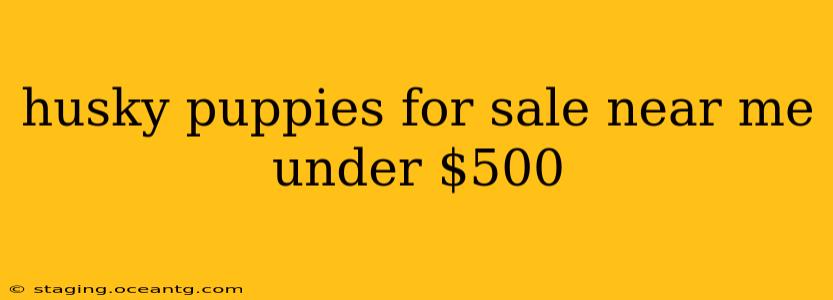 husky puppies for sale near me under $500