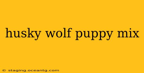 husky wolf puppy mix