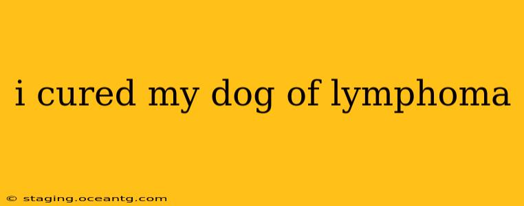 i cured my dog of lymphoma
