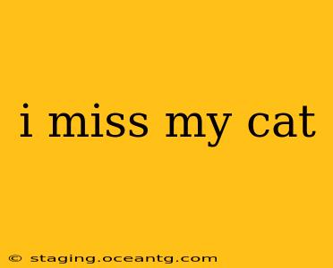 i miss my cat