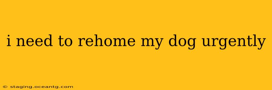 i need to rehome my dog urgently