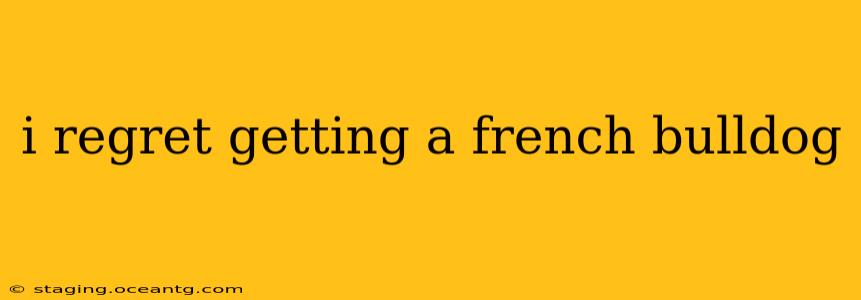i regret getting a french bulldog